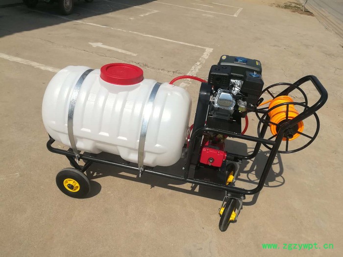 汽油背负式高压水稻施肥机 打药机 手推式打药机喷雾器图8