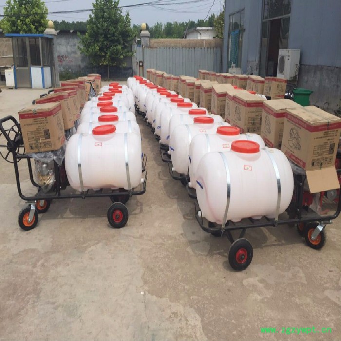 汽油背负式高压水稻施肥机 打药机 手推式打药机喷雾器图3