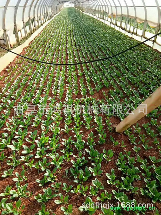 鸿祺 谷子高粱播种机 小粒种子播种机药材精播机图4