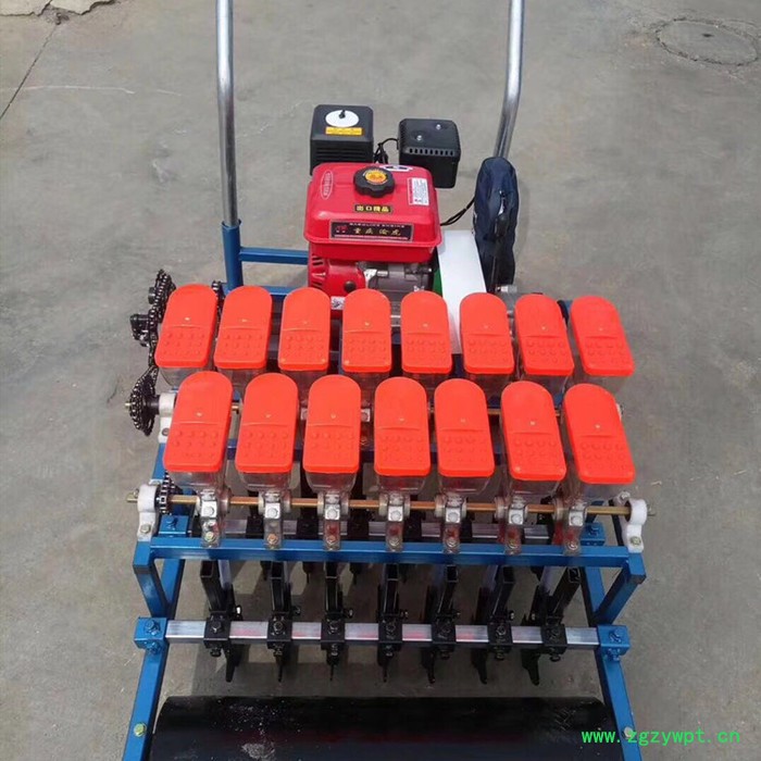 药材精播机 小颗粒播种机 日照油菜种植播种机2图5