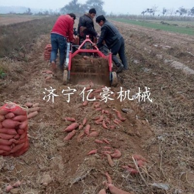 大东白薯收获机毛芋头收获机药材收获机产量高价格低