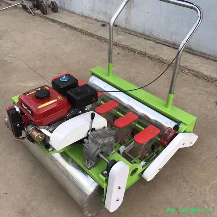 油菜精播机参数 冠发蔬菜药材胡萝卜播种机 花卉播种机播种器图4