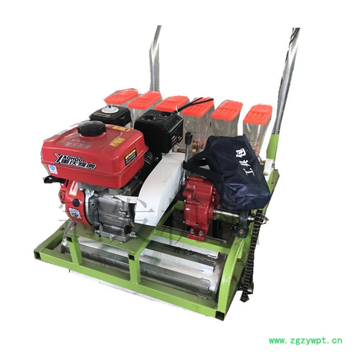 油菜精播机参数 冠发蔬菜药材胡萝卜播种机 花卉播种机播种器图2