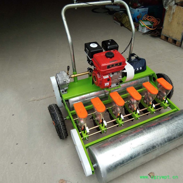 金佳机械油菜播种机 药材精播机 白菜菠菜种植机厂家图4