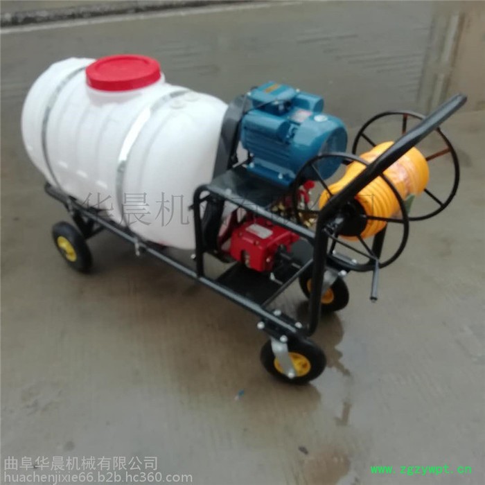手推式养殖场消毒机 华晨汽油拉管式打药机 HC-DYJ药材基地打药机图3