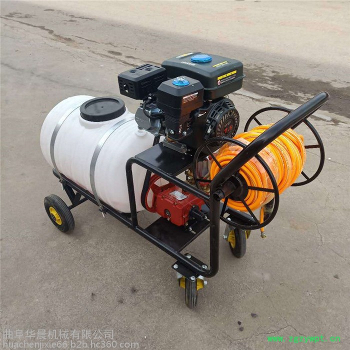 手推式养殖场消毒机 华晨汽油拉管式打药机 HC-DYJ药材基地打药机图8
