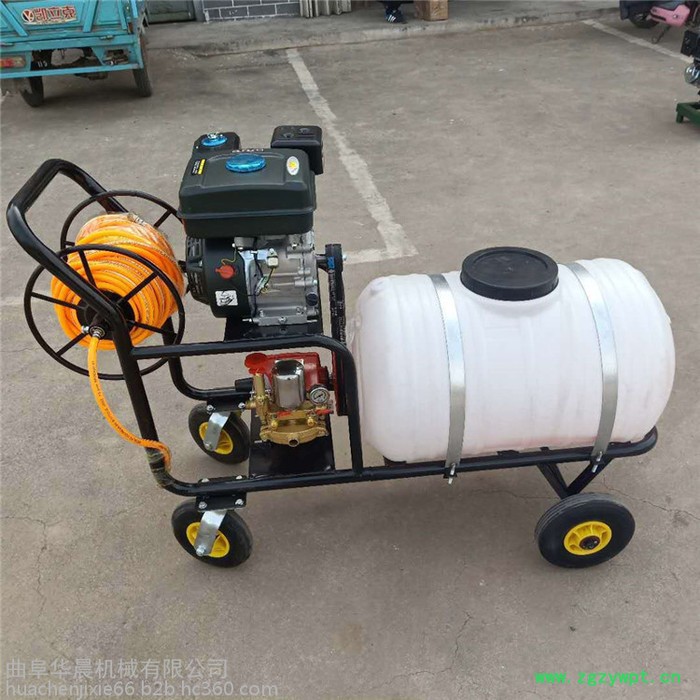 手推式养殖场消毒机 华晨汽油拉管式打药机 HC-DYJ药材基地打药机图4