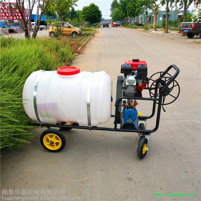 手推式养殖场消毒机 华晨汽油拉管式打药机 HC-DYJ药材基地打药机图7