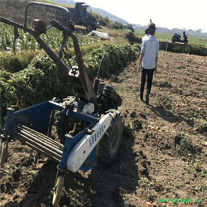 马铃薯杀秧收获机 多型号薯类根茎药材收获机 土豆收获机图8