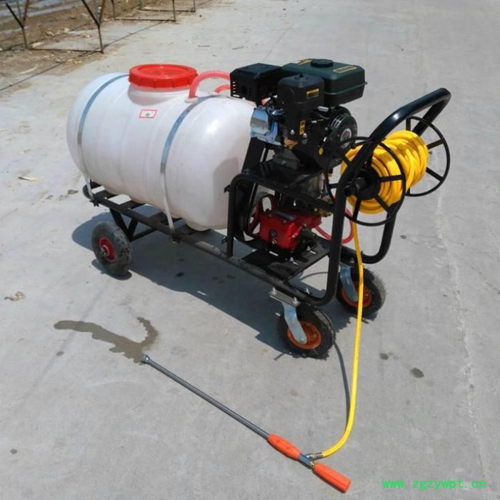 打药施肥机 家用打药机 农田打药车现做现发图4