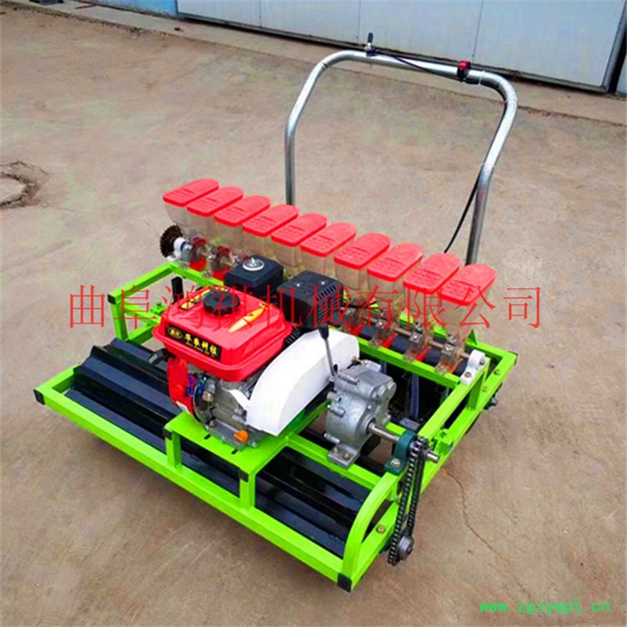 药材播种机 小粒种子好用精播机 蔬菜精播机鸿祺Q图8