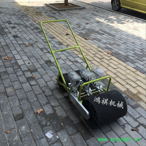 大型蔬菜药材精播机  开平油菜播种机优势 电动蔬菜精播机图8