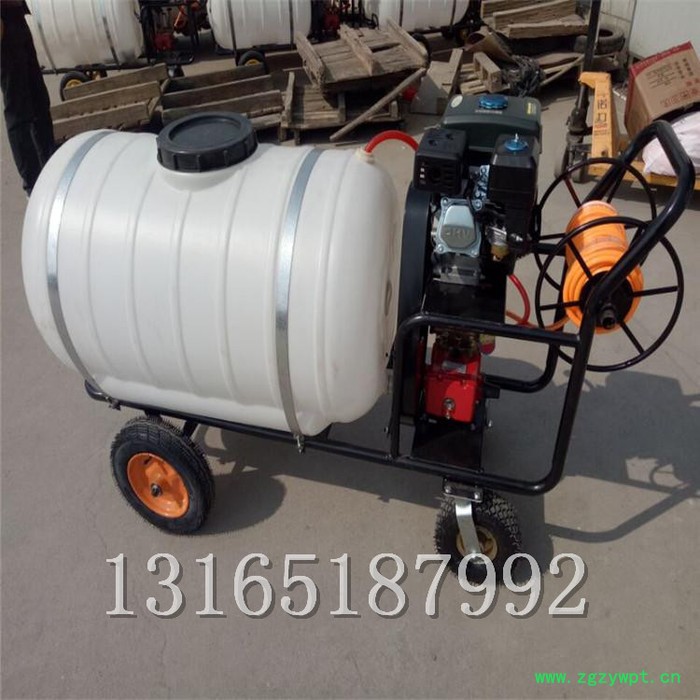 花卉药材防虫喷药机 大棚保湿喷雾机价格 富兴牌打药机图6