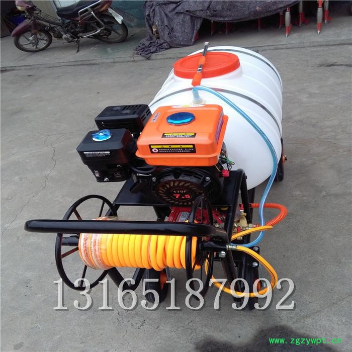 花卉药材防虫喷药机 大棚保湿喷雾机价格 富兴牌打药机图8