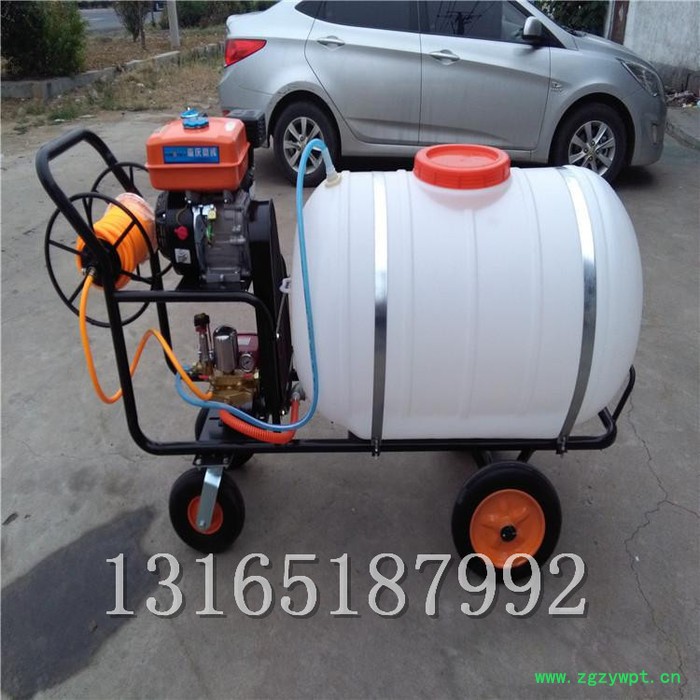 花卉药材防虫喷药机 大棚保湿喷雾机价格 富兴牌打药机图7