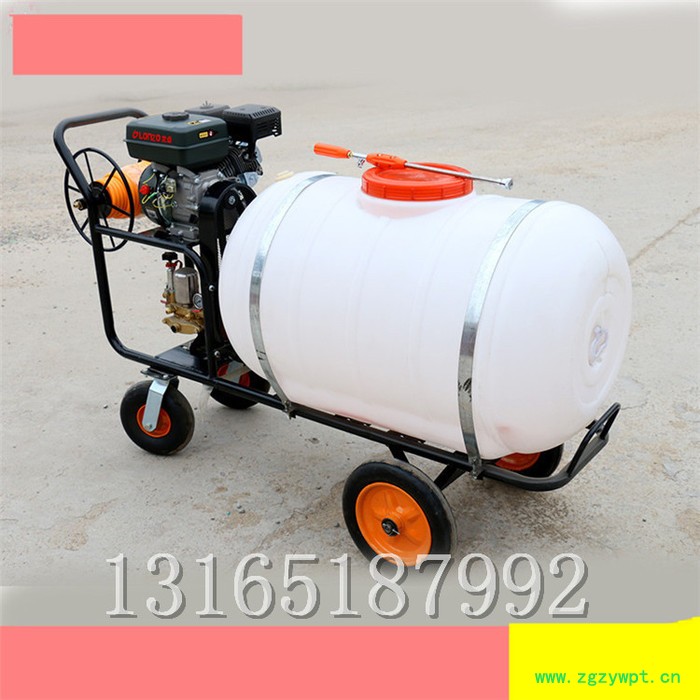 花卉药材防虫喷药机 大棚保湿喷雾机价格 富兴牌打药机图3
