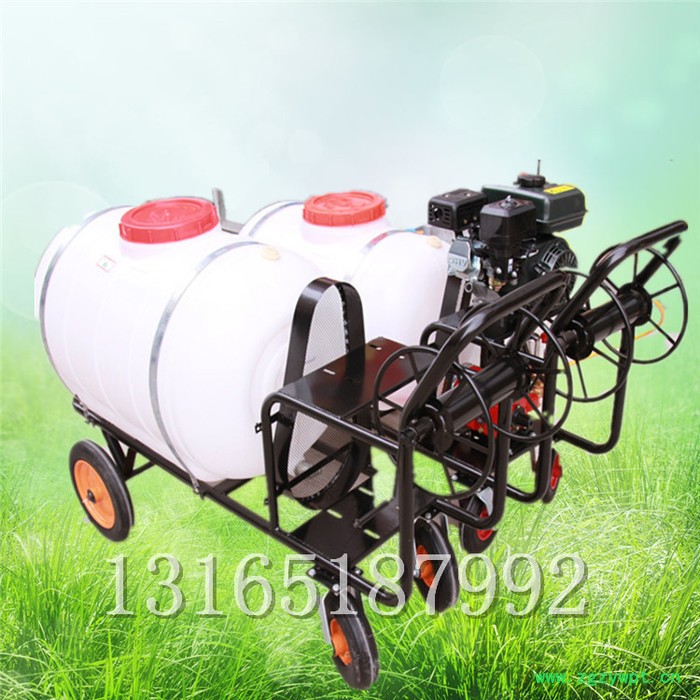 花卉药材防虫喷药机 大棚保湿喷雾机价格 富兴牌打药机图4