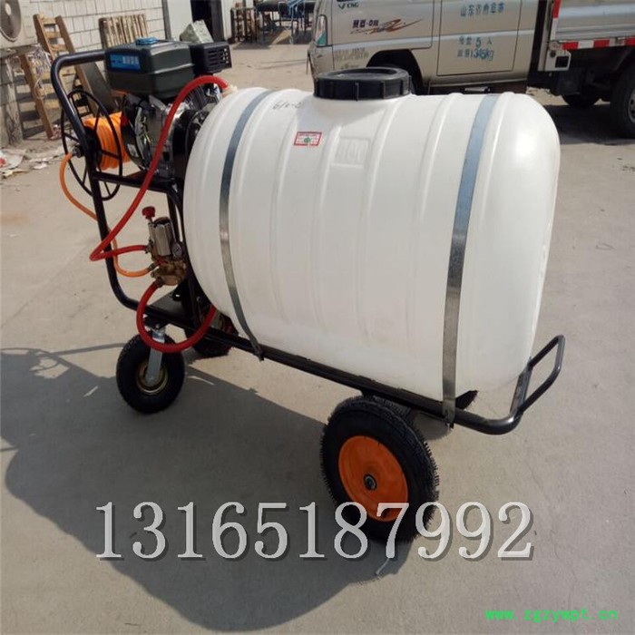 花卉药材防虫喷药机 大棚保湿喷雾机价格 富兴牌打药机图2