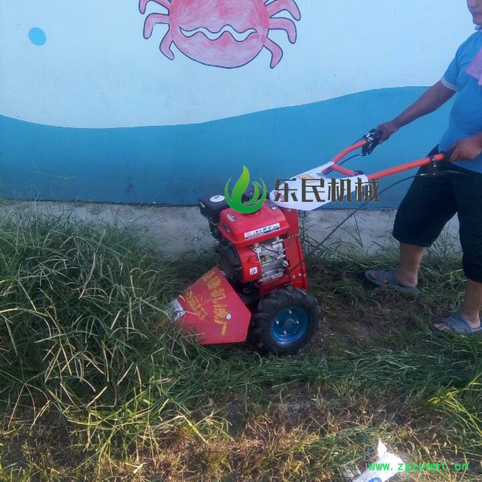 中药材收割机/果园用野草剪草机/宽幅杂草收割机图8