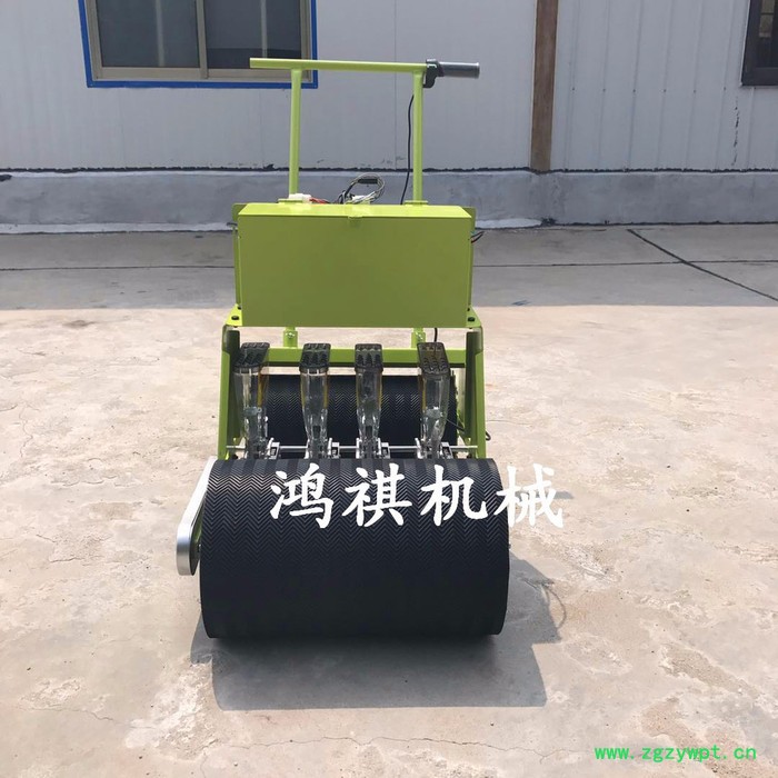 电动蔬菜播种机小型蔬菜药材播种机手推人力蔬菜播种机图2