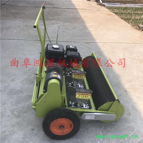 药材谷子播种机 沂水县大葱播种机 蔬菜播种机价格图6