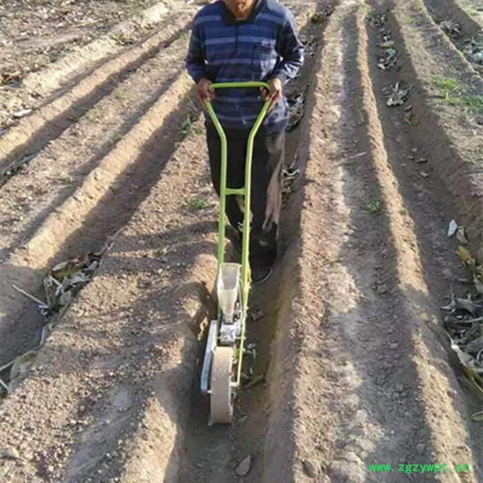 白菜萝卜播种机厂家 蔬菜播种机 电动韩式多行蔬菜药材播种机厂家图3