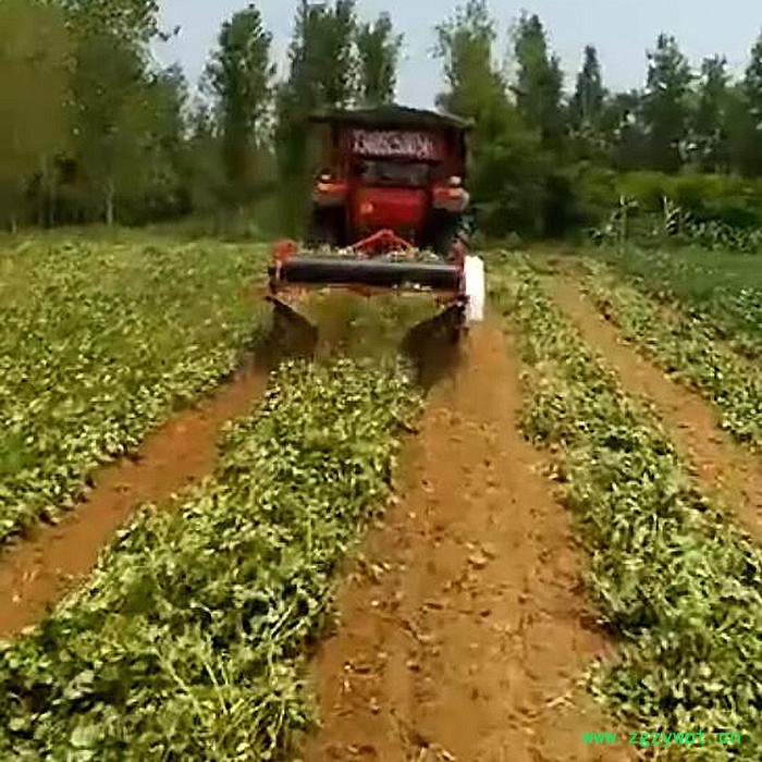 农用新款花生收获机 多用型地瓜土豆收获机 四轮带动药材收获机图7