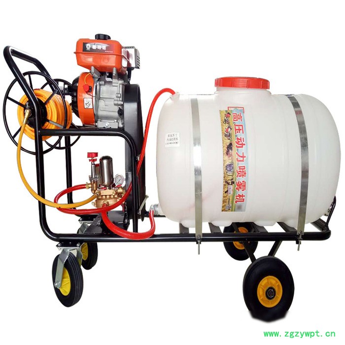 霍邱县 水稻药材喷洒农药机 手推式打药机图片 消毒用喷雾器H图3