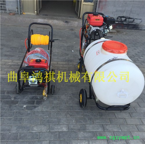 霍邱县 水稻药材喷洒农药机 手推式打药机图片 消毒用喷雾器H图4