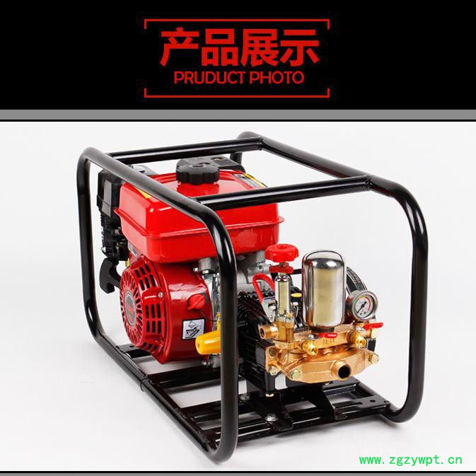 霍邱县 水稻药材喷洒农药机 手推式打药机图片 消毒用喷雾器H图2