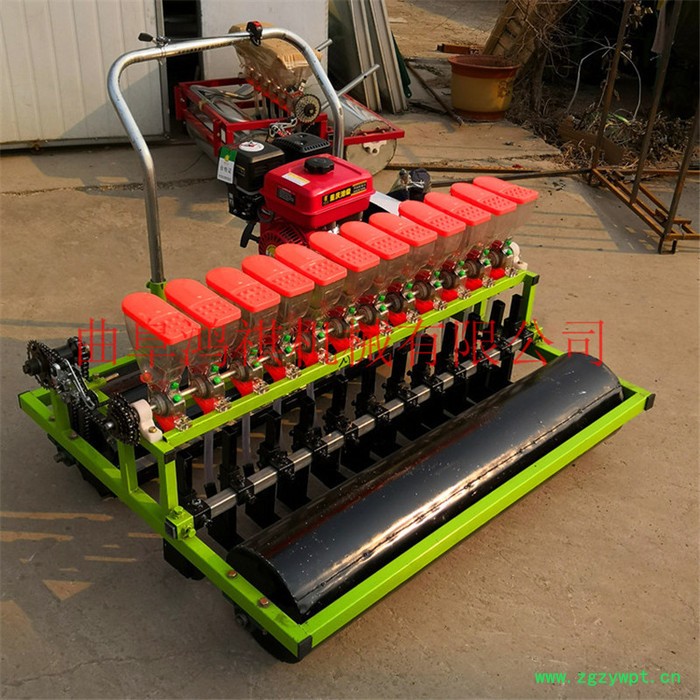 免间苗精量播种机 人力5行精播机 药材精播机图4