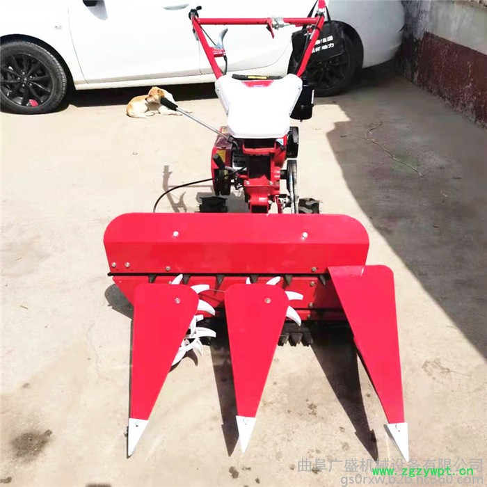 广盛   轻巧辣椒割晒机 黄豆药材收获机 柴油动力割晒机 前置式手扶割倒机图2