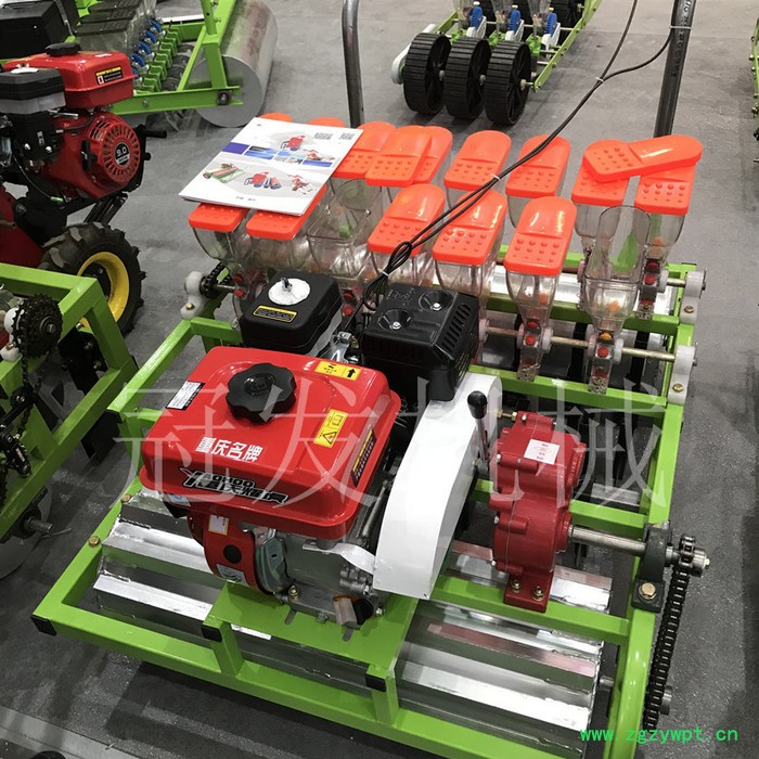 大型谷子播种机 冠发药材播种机 胡萝卜播种机图7