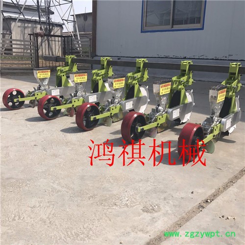 多规格蔬菜播种机 中药材播种机 手推式蔬菜播种机图3