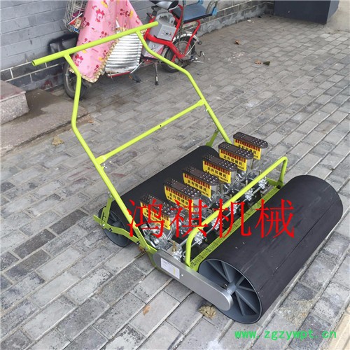 多规格蔬菜播种机 中药材播种机 手推式蔬菜播种机图4
