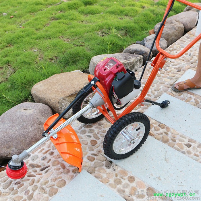 中药材灌木割草机 小型苜蓿芦苇收割机手推自走式剪草机图7