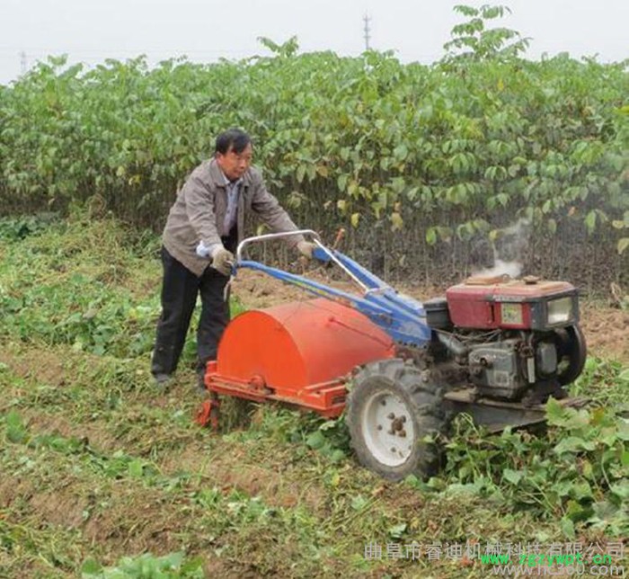 睿迪牌多功能土豆收获机 红薯地瓜秧杀秧机小颗粒药材收获机图5