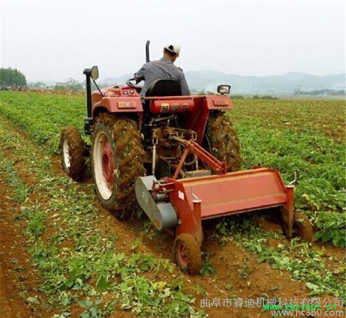 睿迪牌多功能土豆收获机 红薯地瓜秧杀秧机小颗粒药材收获机图3