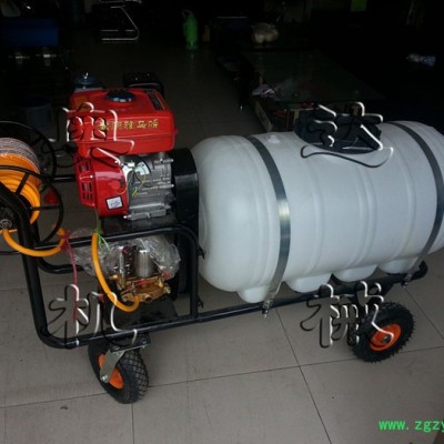 农用药材打药机 喷雾器 定做各种打药机  背负式电动充电打药机