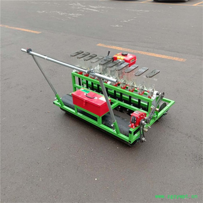 富兴机械生产汽油自走中药材免间苗播种机 通辽市胡萝卜谷子白菜精播机厂家图8