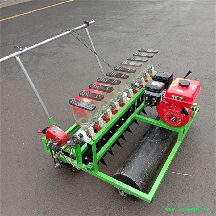 富兴机械生产汽油自走中药材免间苗播种机 通辽市胡萝卜谷子白菜精播机厂家图2