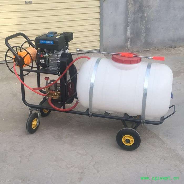 杠杆式四轮打药机 药材类除虫用打药机 宇佳手推式高压打药车图8