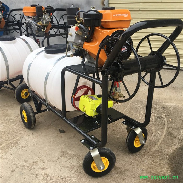 杠杆式四轮打药机 药材类除虫用打药机 宇佳手推式高压打药车图7