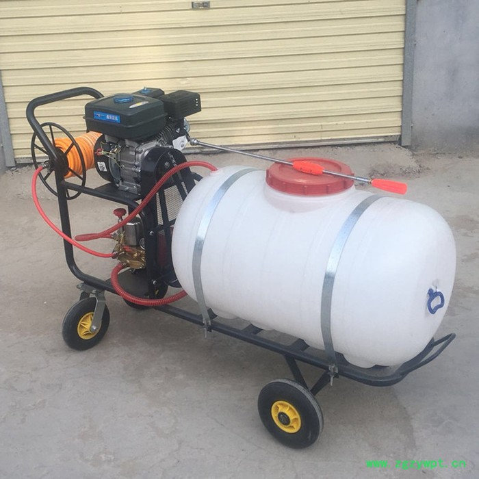 杠杆式四轮打药机 药材类除虫用打药机 宇佳手推式高压打药车图6