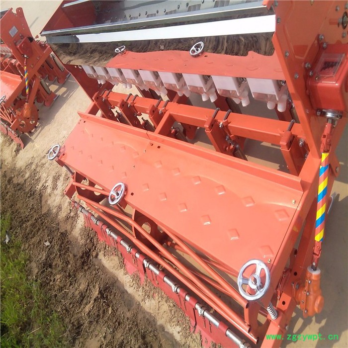 中药材播种机价格  **芹菜播种机厂家图2