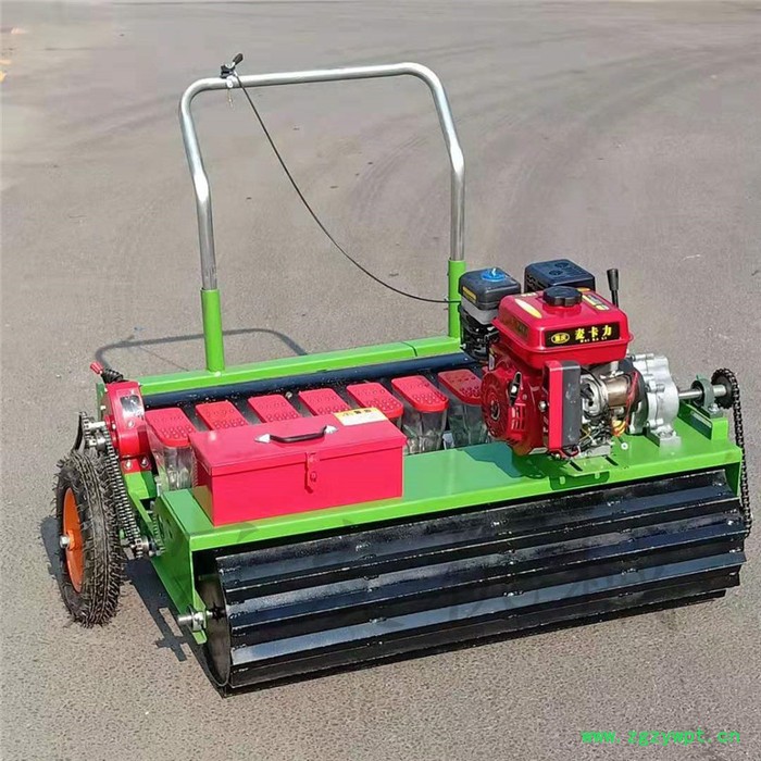 **谷子药材播种机 冠发娃娃菜播种机 谷子播种机价图5