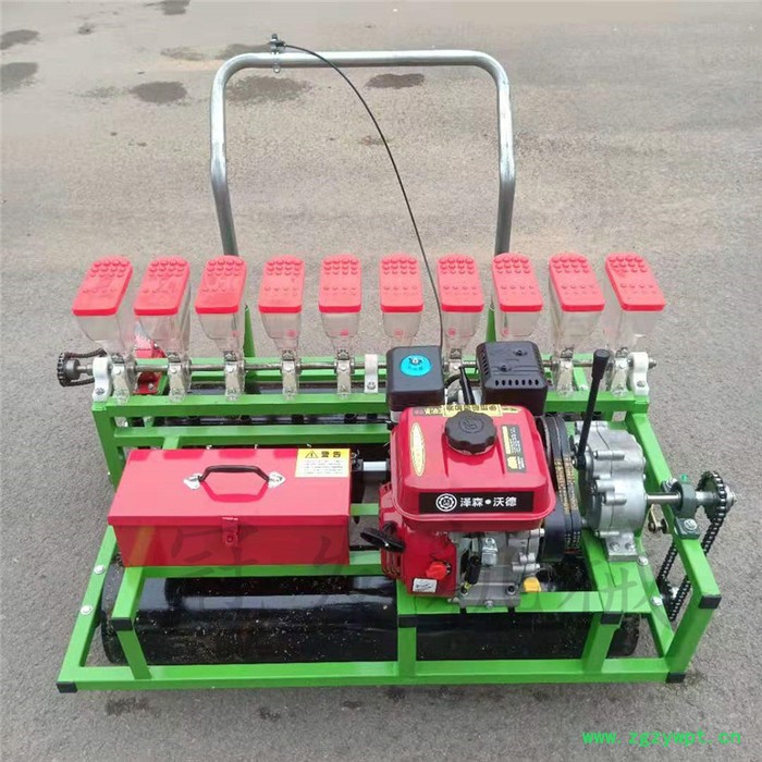 **谷子药材播种机 冠发娃娃菜播种机 谷子播种机价图4