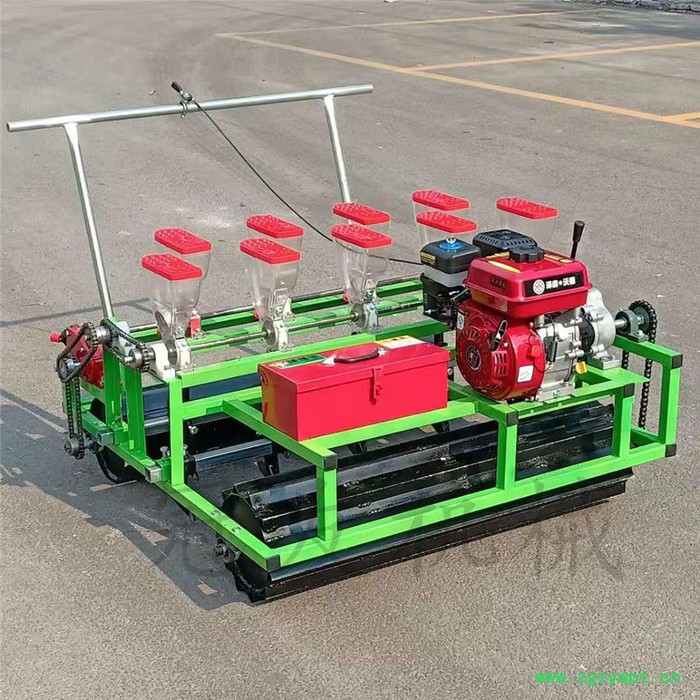 **谷子药材播种机 冠发娃娃菜播种机 谷子播种机价图6