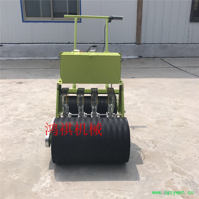 焦作药材精播机 四行谷子精播机 手推蔬菜籽播种机K图4