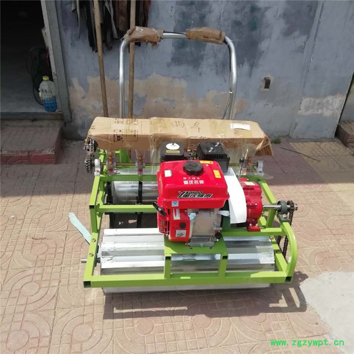 播种黄芩药材的播种机 中药材播种施肥机 华晨机械图5